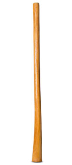 Gloss Finish Didgeridoo (TW1311)